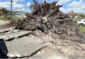 Concrete repair service restoring damaged surfaces