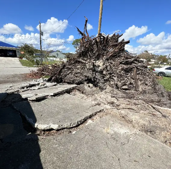 Restoring concrete strength, safety, and curb appeal